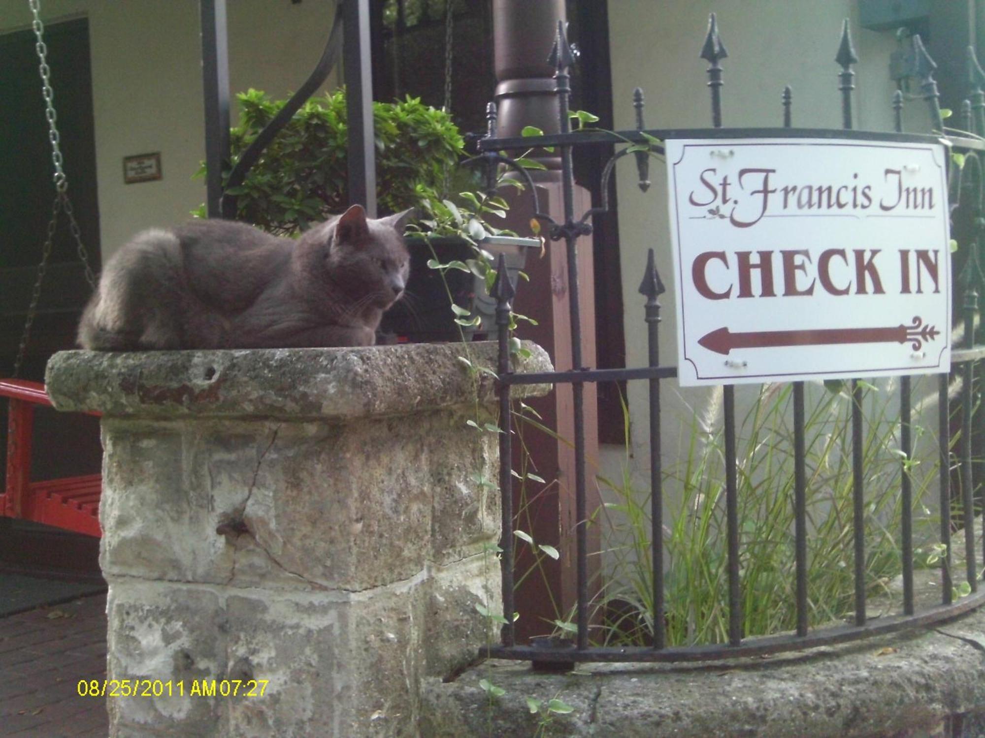 St. Francis Inn - Saint Augustine Bagian luar foto
